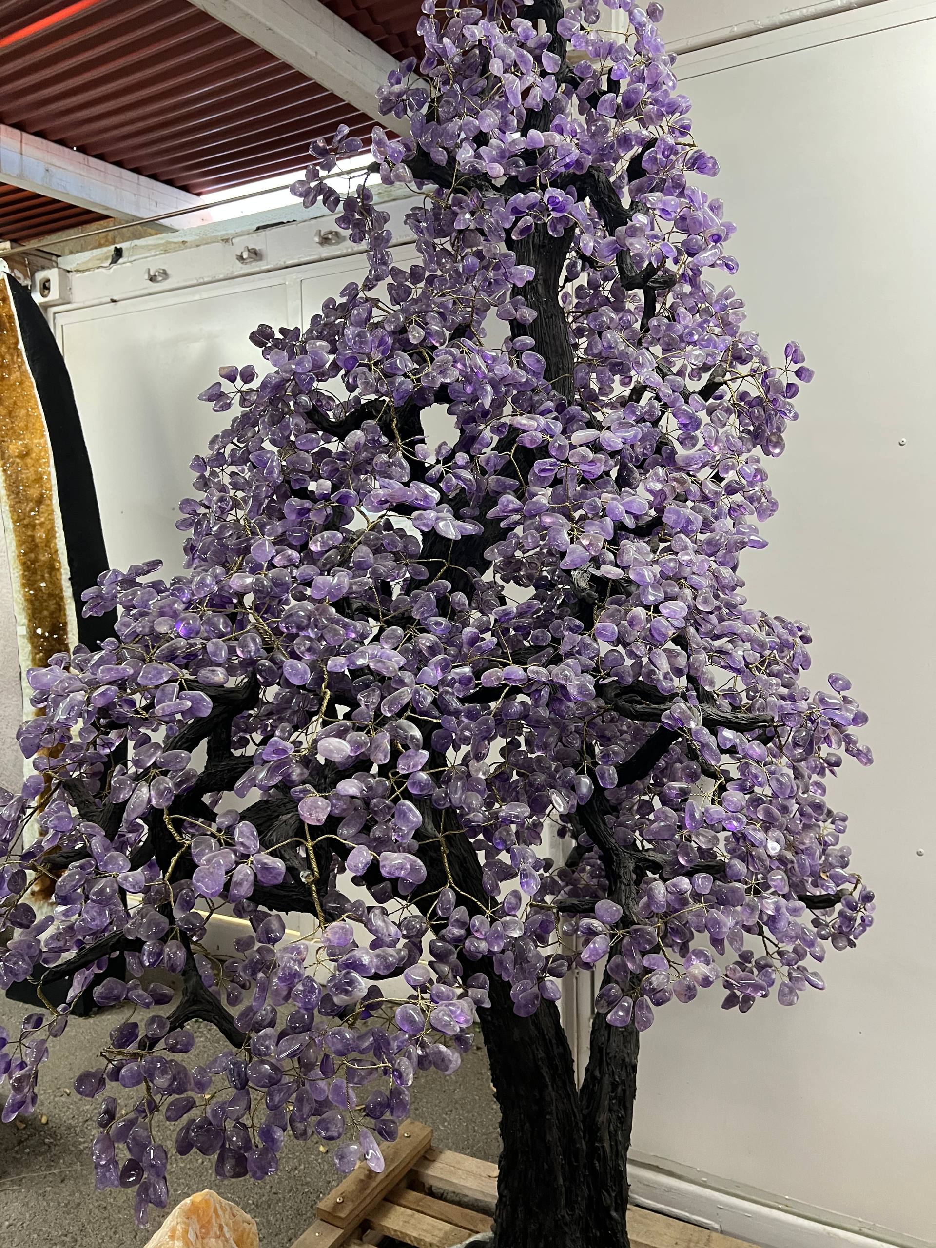 Largest amethyst tree stands on larger amethyst bases, Large money trees – view 11
