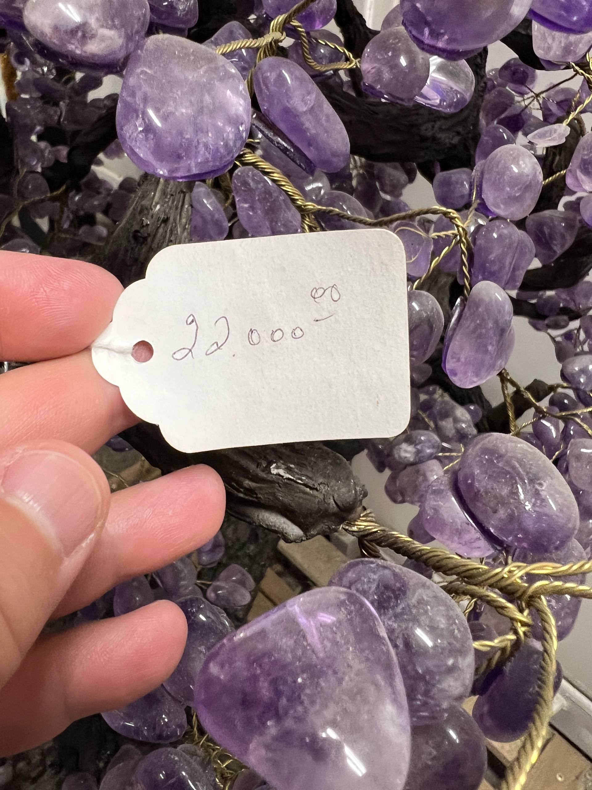 Largest amethyst tree stands on larger amethyst bases, Large money trees – view 14