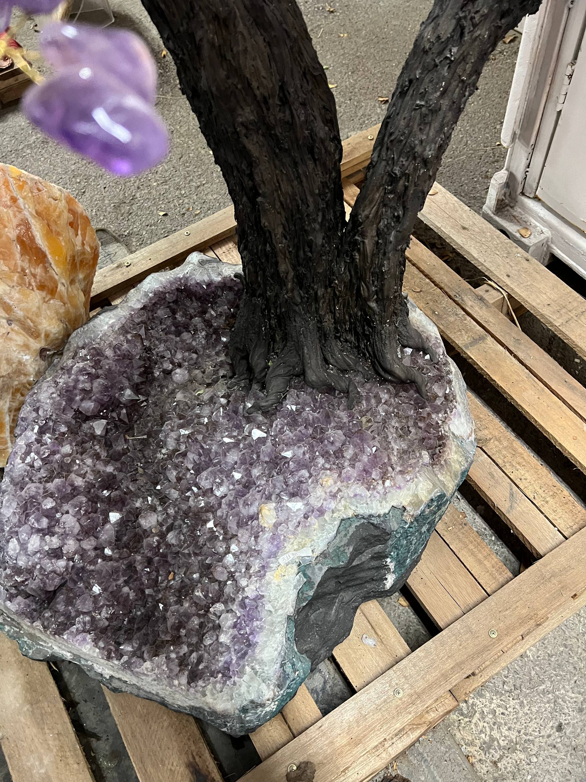 Largest amethyst tree stands on larger amethyst bases, Large money trees – view 16
