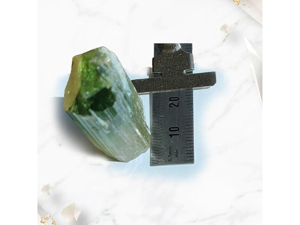 Bicolor Verdelite Crystals Tourmaline