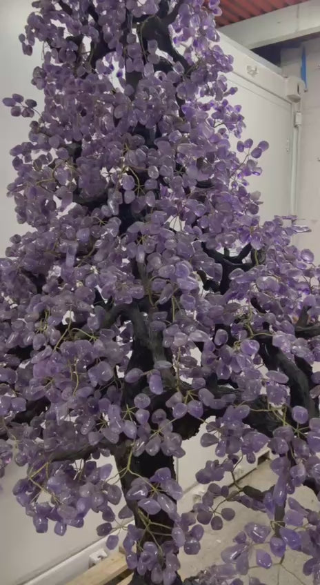Load video: Largest amethyst tree stands on larger amethyst bases, Large money trees