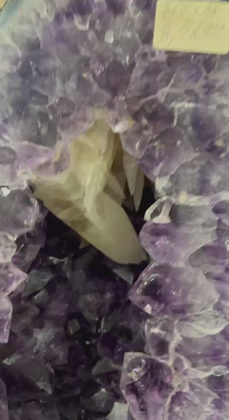 Load video: Amethyst wings high quality on stand – video